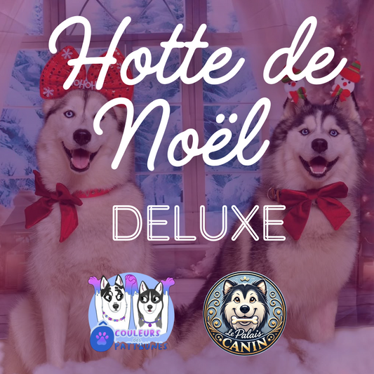 HOTTE DE NOËL MAXI - 25 cases (en collaboration avec Ô Couleurs des Pattounes) Le Palais Canin