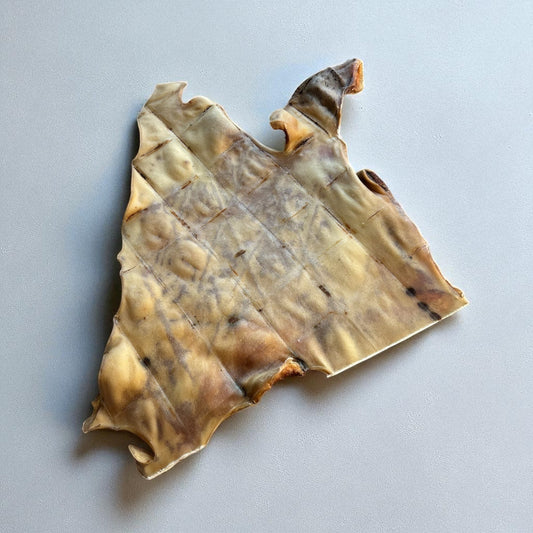 Plaque de peau de bœuf XL Le Palais Canin