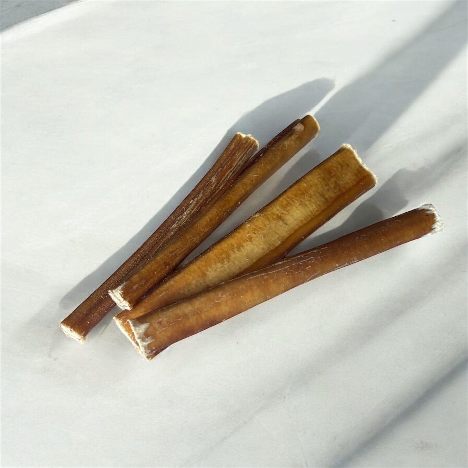 Nerf de bœuf Le Palais Canin