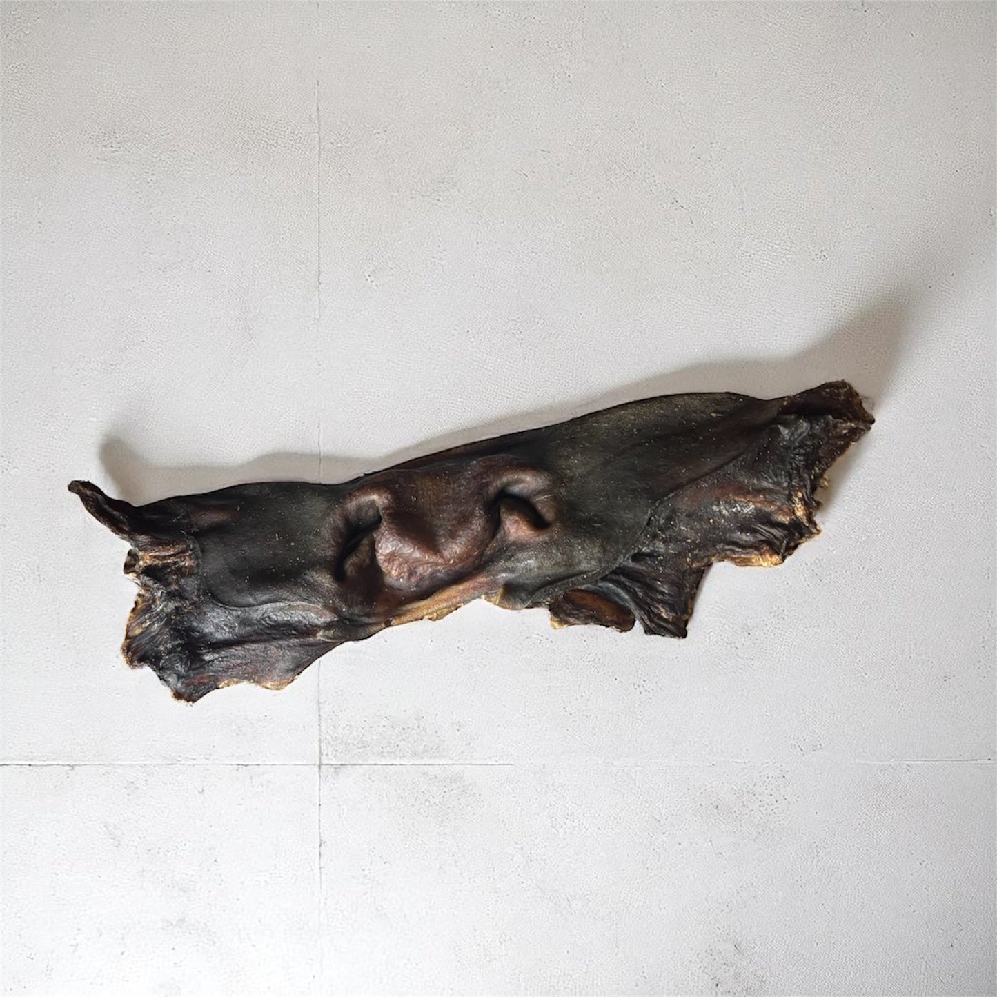 Museau de boeuf entier XL Le Palais Canin