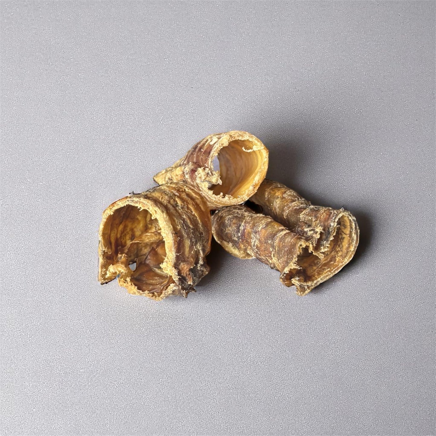 Trachée de bœuf - 3cm Le Palais Canin