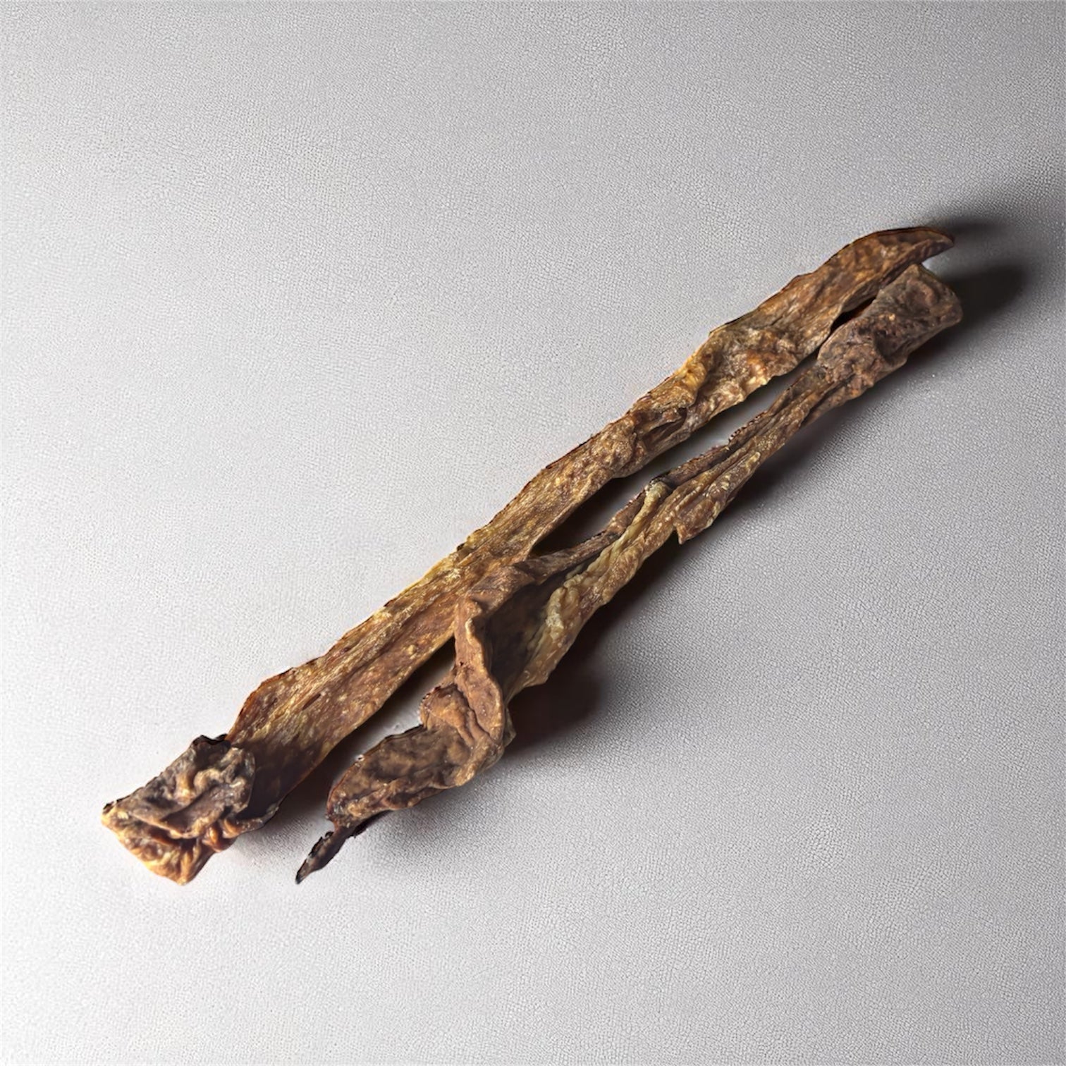 Mamelle de vache Le Palais Canin