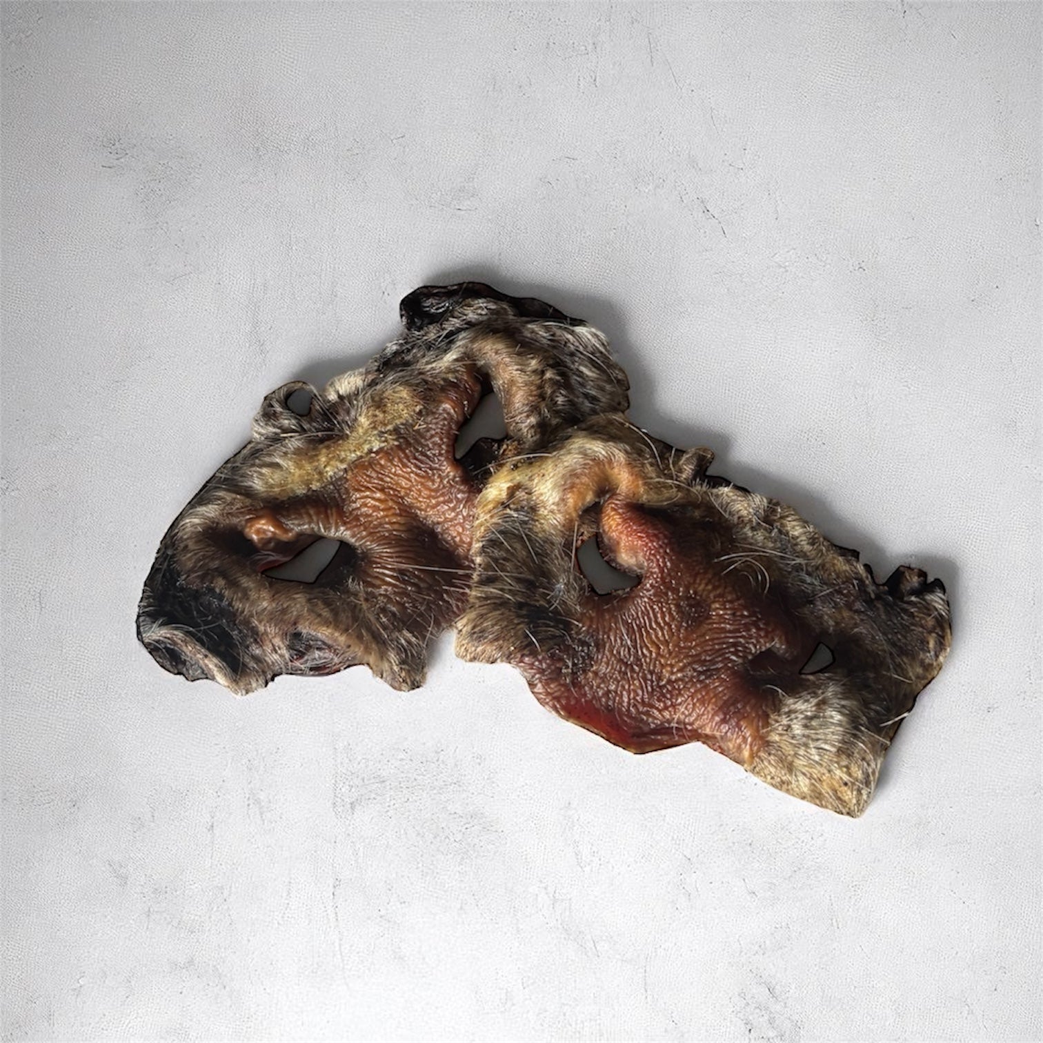 Museau de boeuf avec poils Le Palais Canin