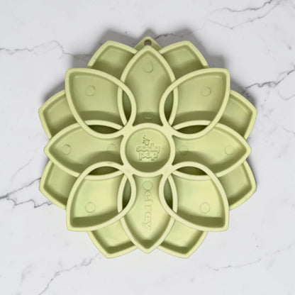 Gamelle enrichissement - mandala SODAPUP