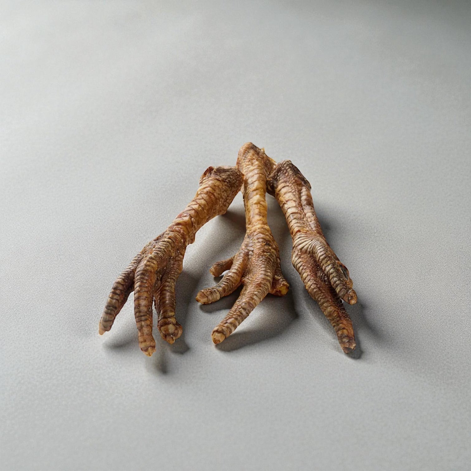 Patte de dinde XL Le Palais Canin