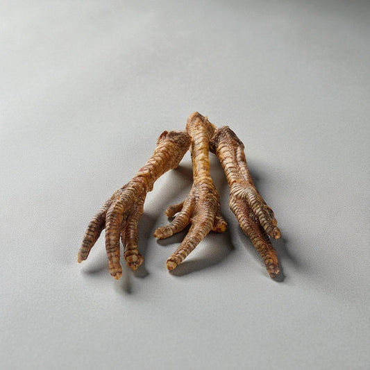 Patte de dinde XL Le Palais Canin