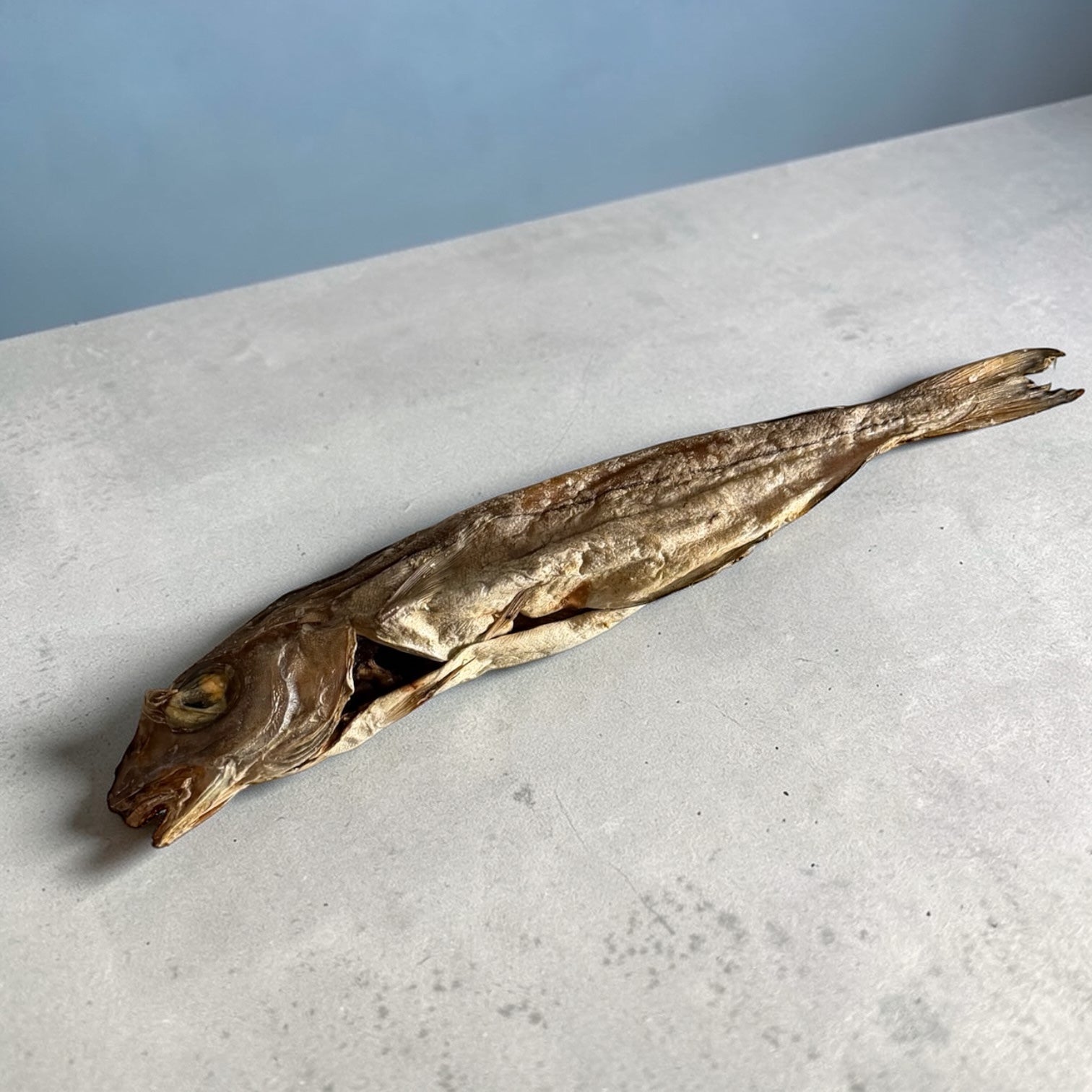 Merlan sauvage Le Palais Canin