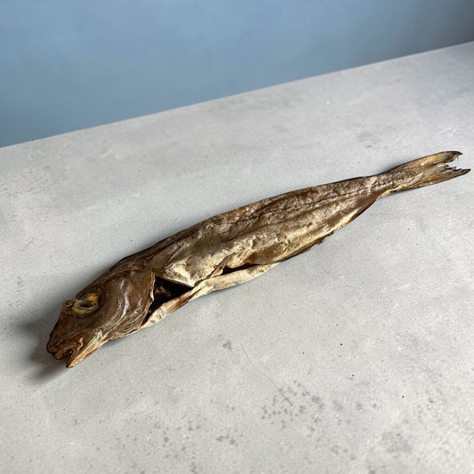 Merlan sauvage Le Palais Canin