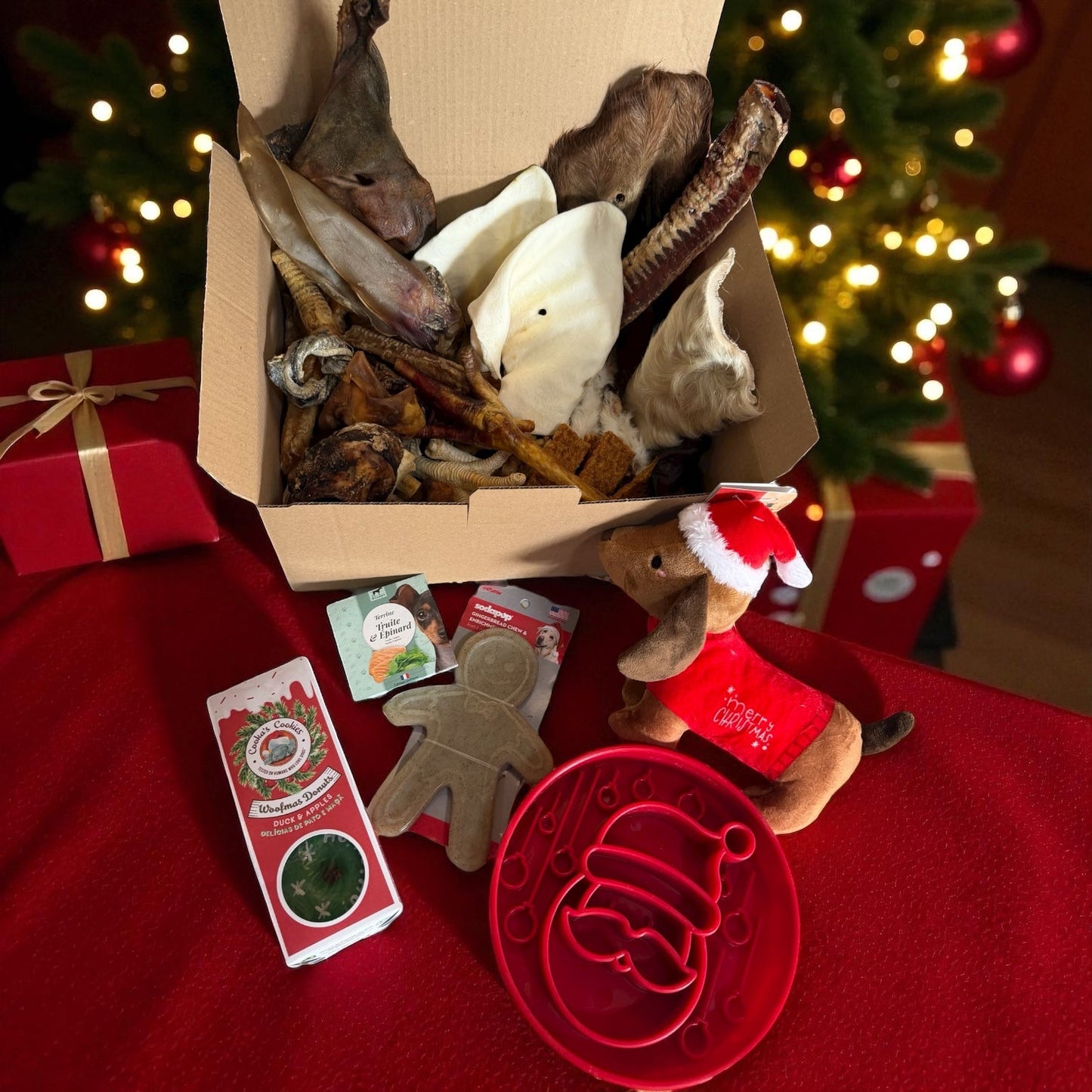 Box Rêves au Pôle Nord 🎄✨ 100% personnalisable Le Palais Canin