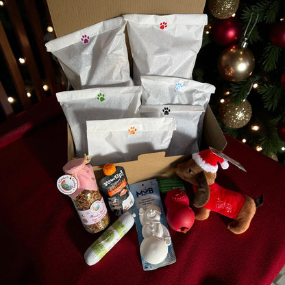 Box Rêves au Pôle Nord 🎄✨ 100% personnalisable Le Palais Canin