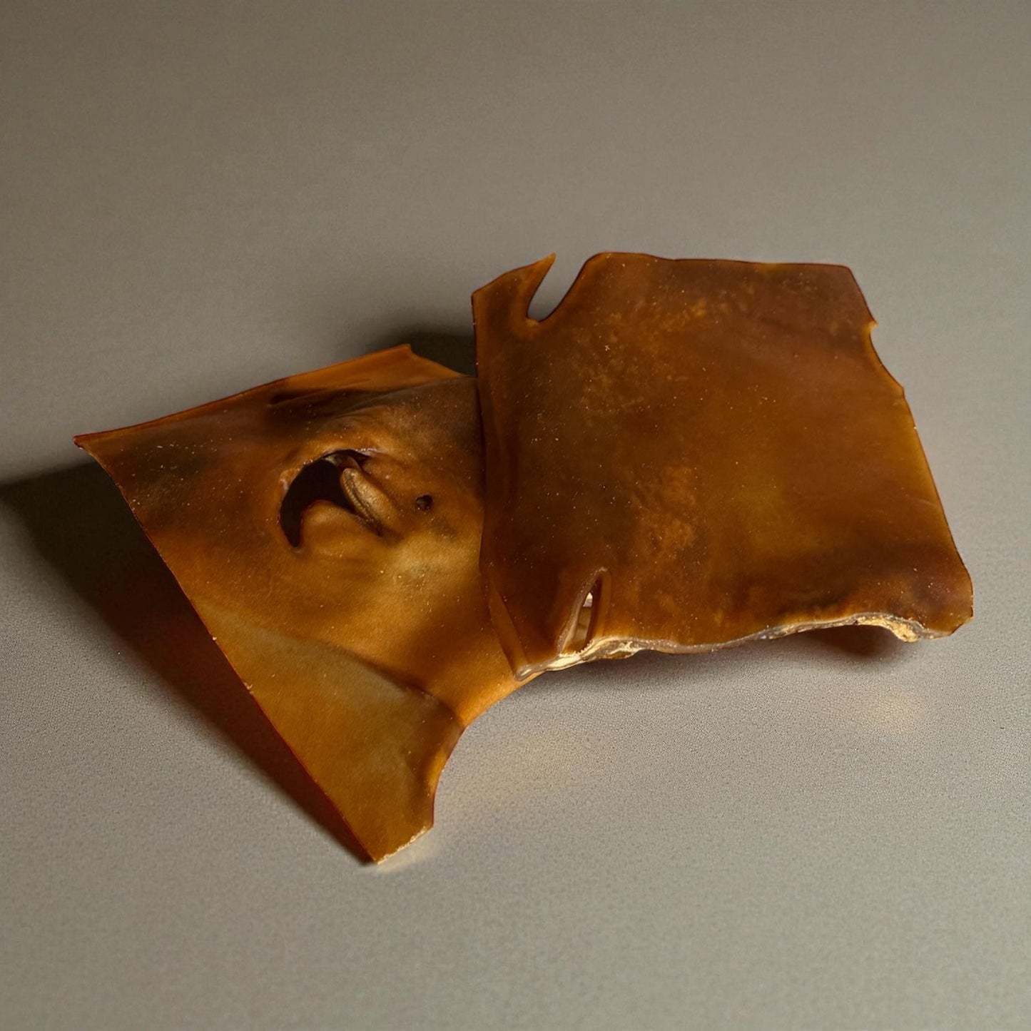 Plaque de peau de chameau Le Palais Canin