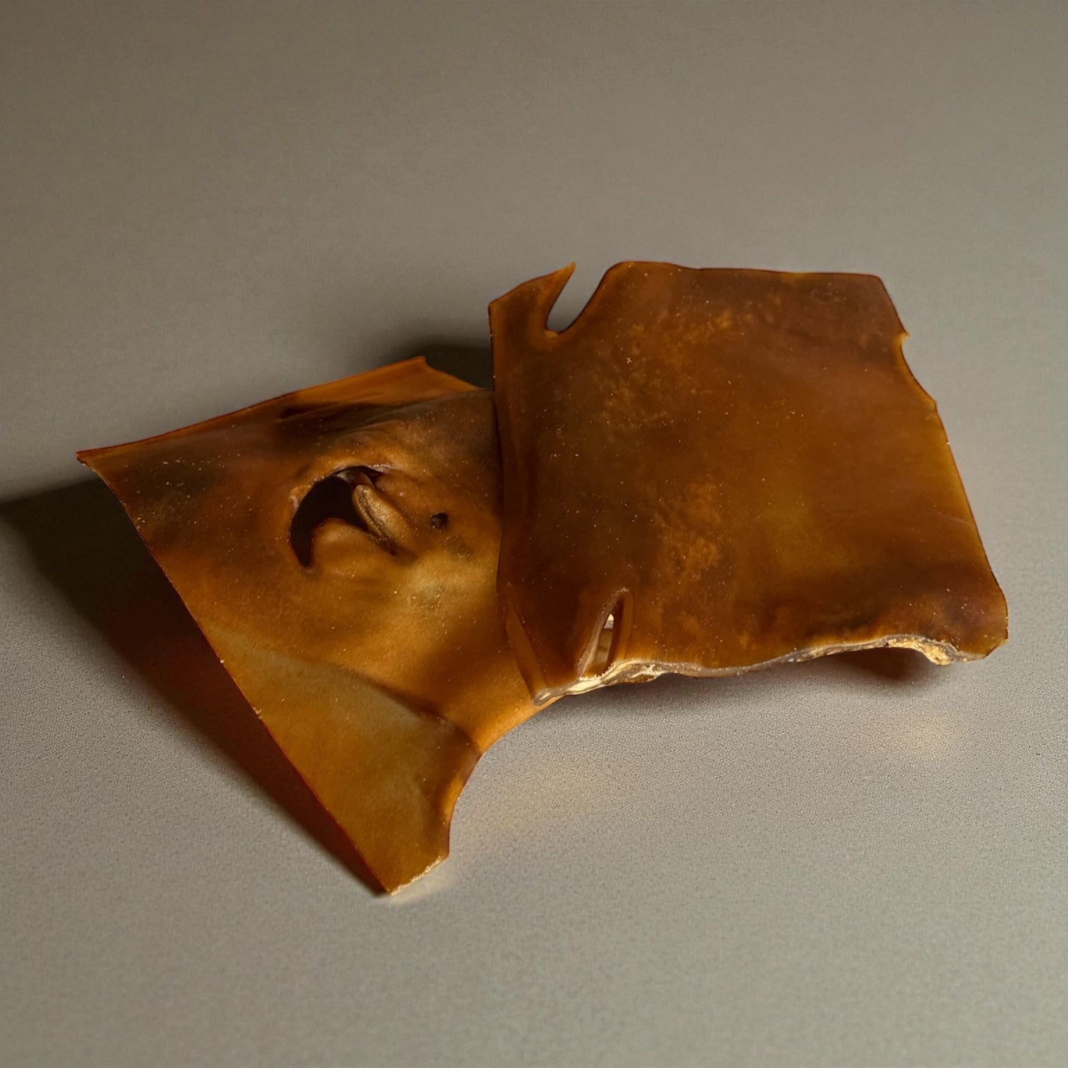 Plaque de peau de chameau Le Palais Canin