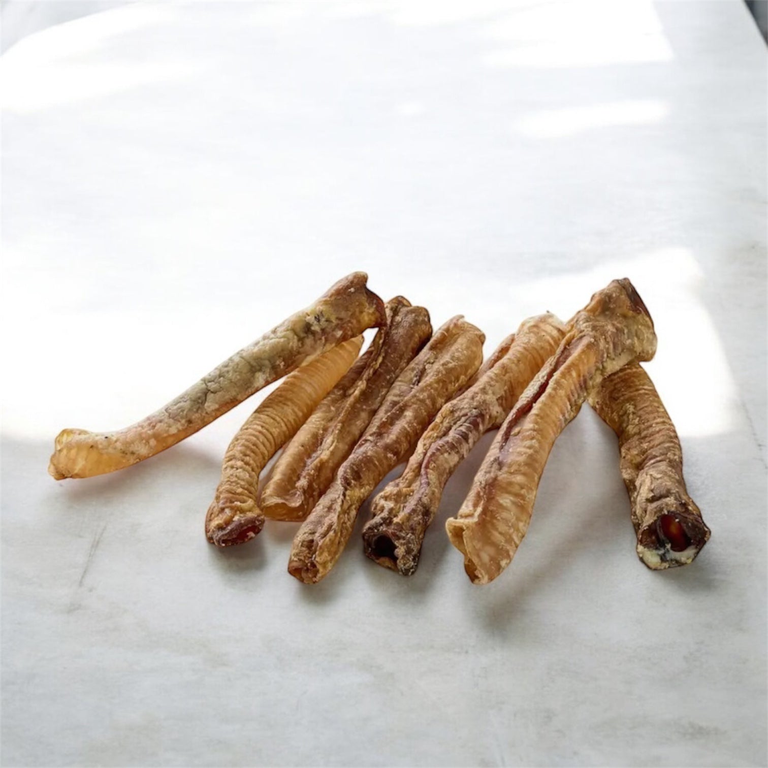 Trachée d’agneau Le Palais Canin