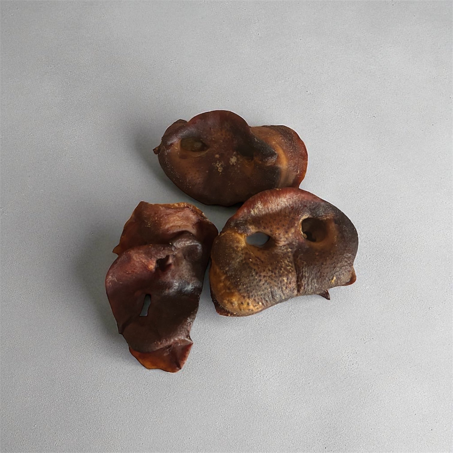 Groin de porc Le Palais Canin