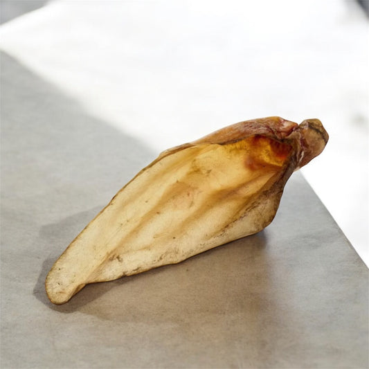 Oreille de bœuf