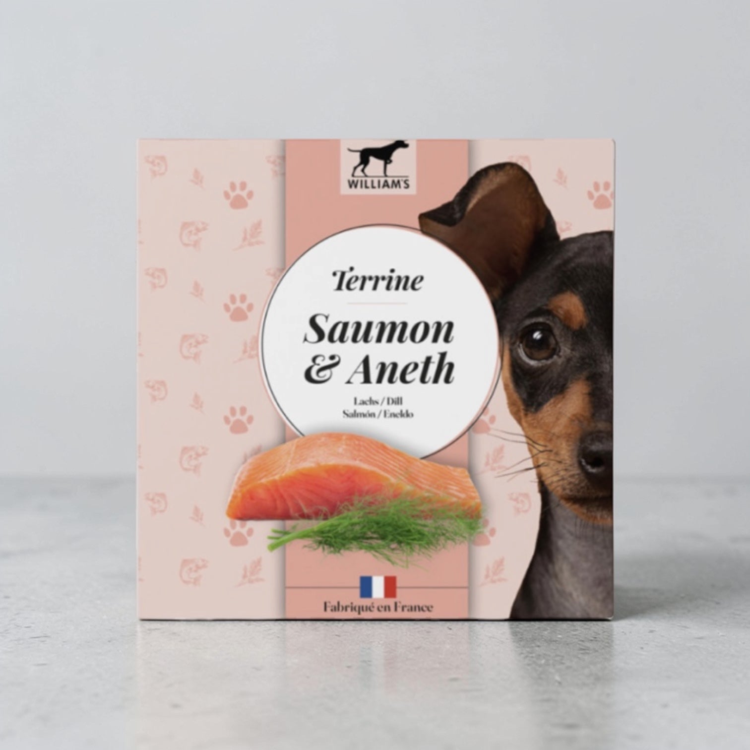 Terrine saumon-aneth Le Palais Canin