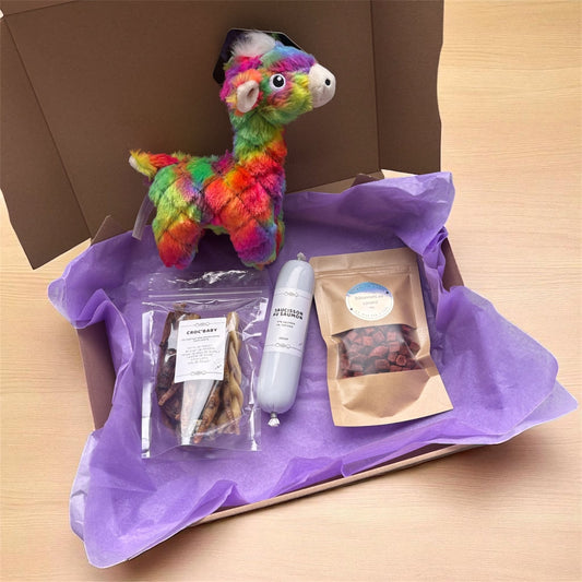 CROC'BABY - les essentiels chiots Le Palais Canin