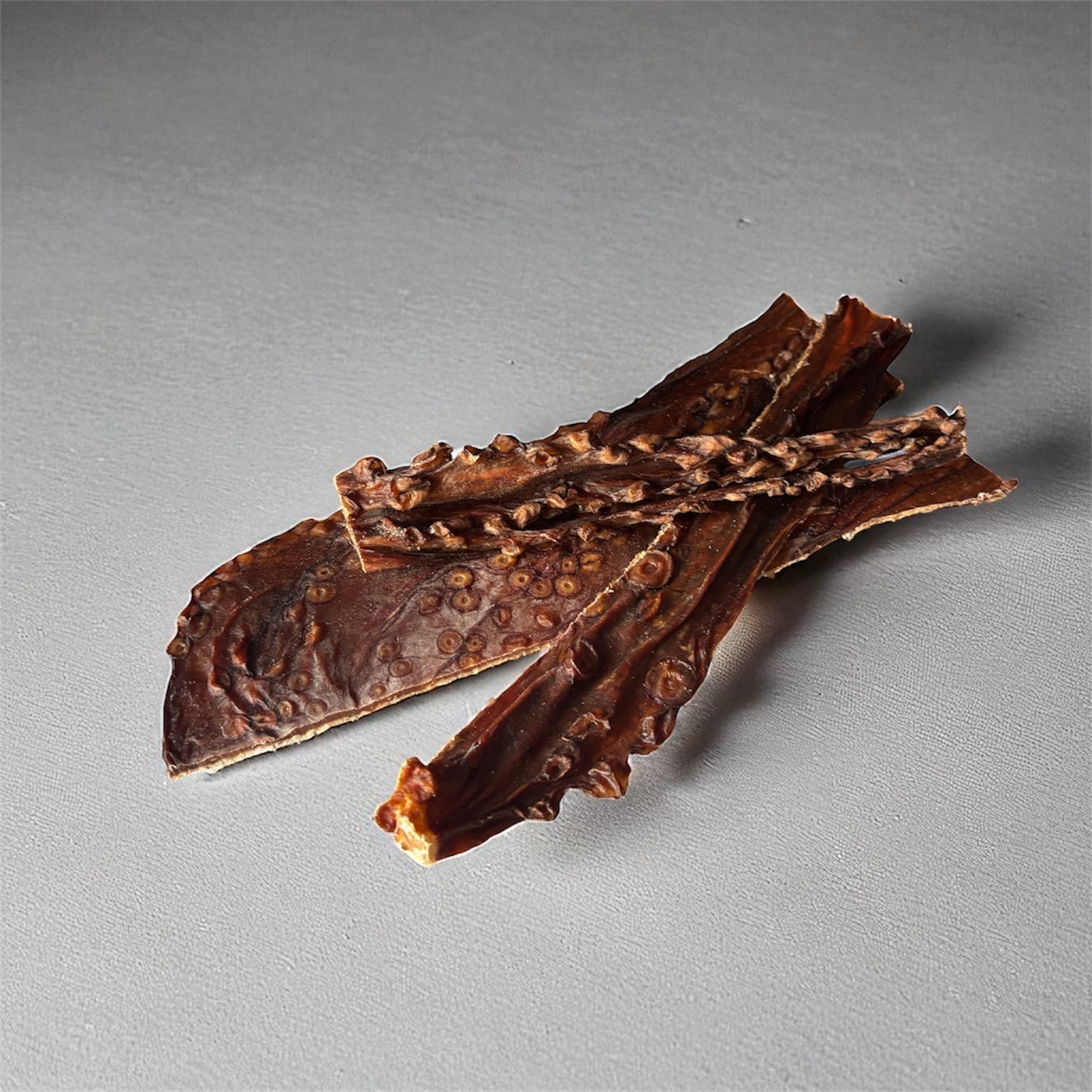 Calamars séchés Le Palais Canin