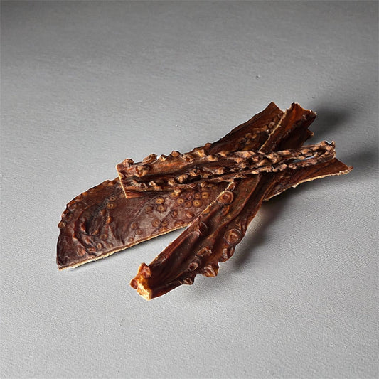 Calamars séchés Le Palais Canin