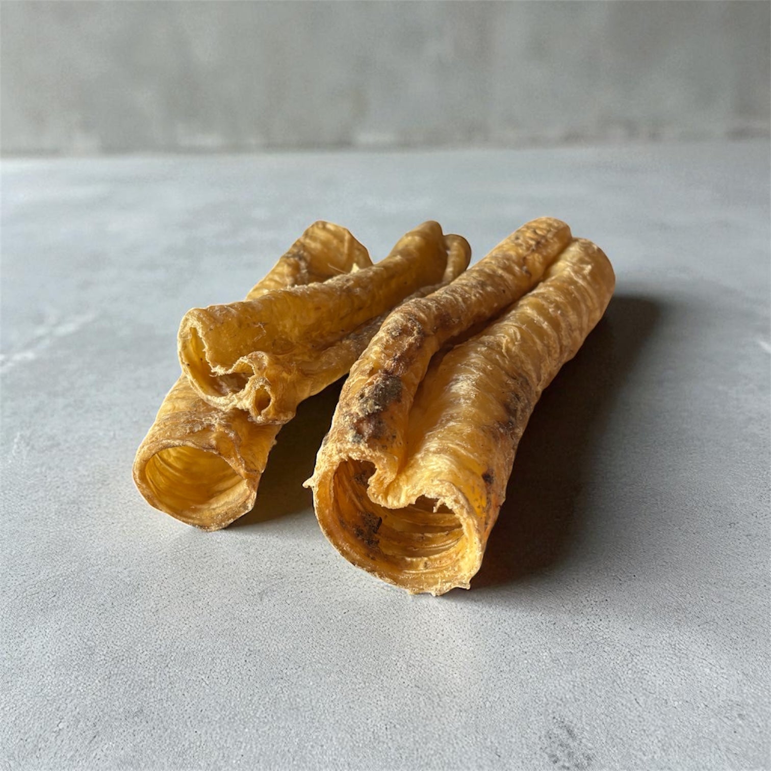 Trachée de chameau Le Palais Canin