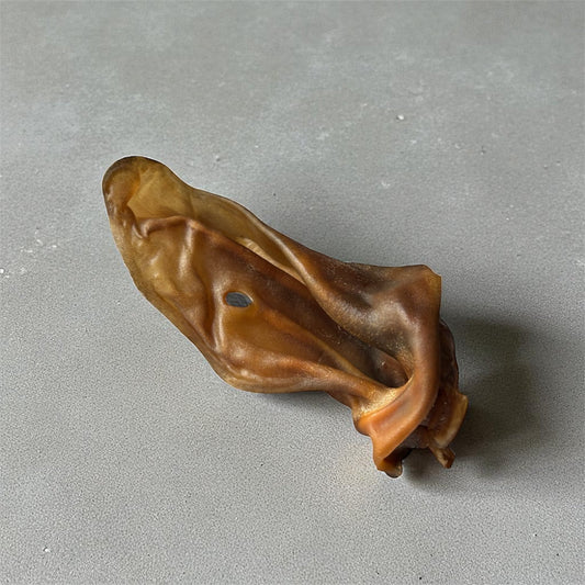 Oreille d’agneau Le Palais Canin