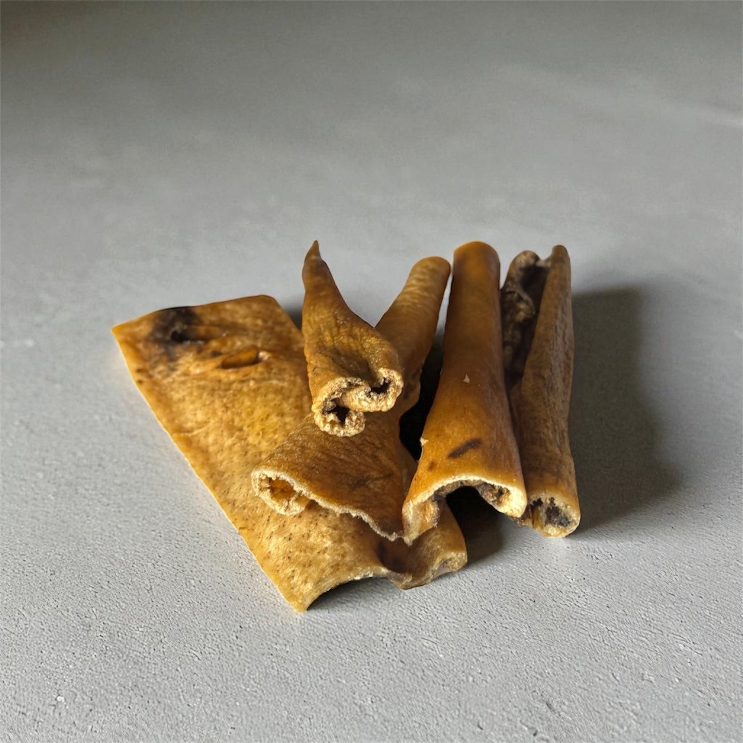 Peaux de sanglier Le Palais Canin