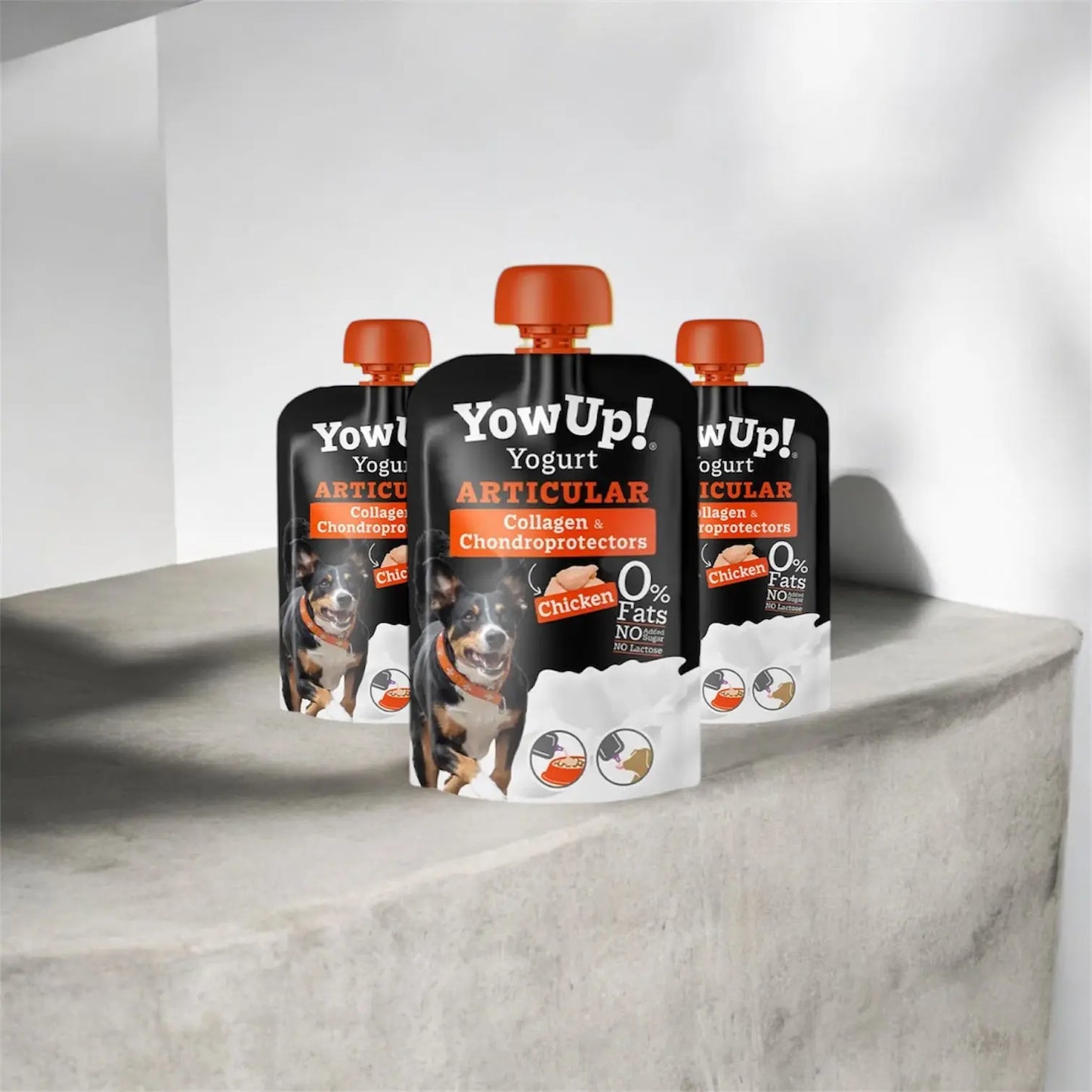 YowUp - articulations YowUp