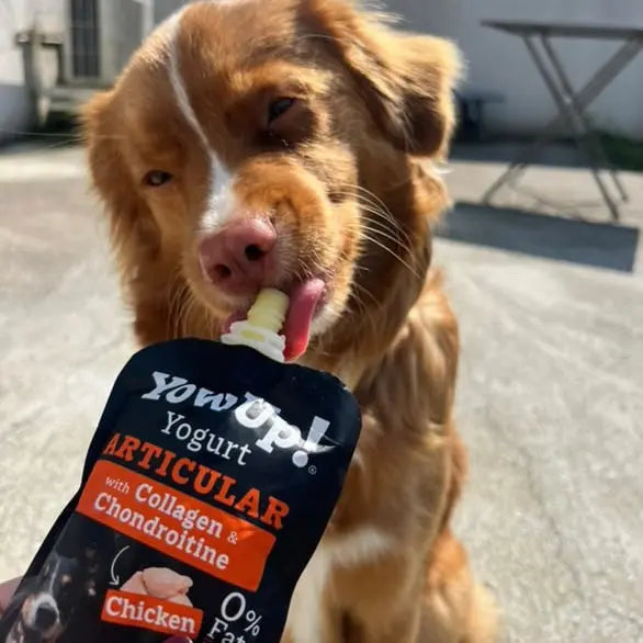 YowUp - articulations YowUp