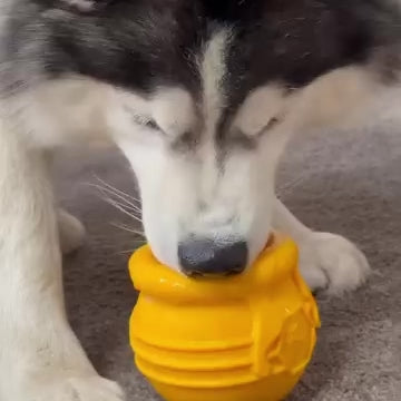 Jouet d'occupation - Pot de miel